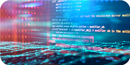 Software Custom